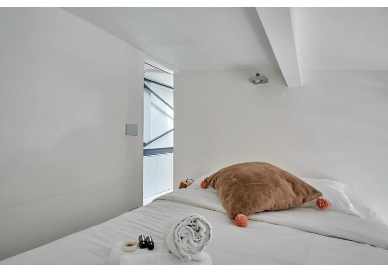 Duplex Center Of Paris By Studio Prestige France
